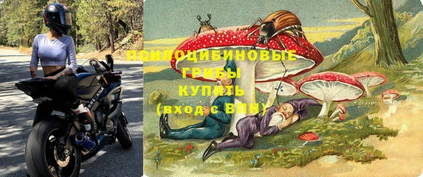 mdma Богданович