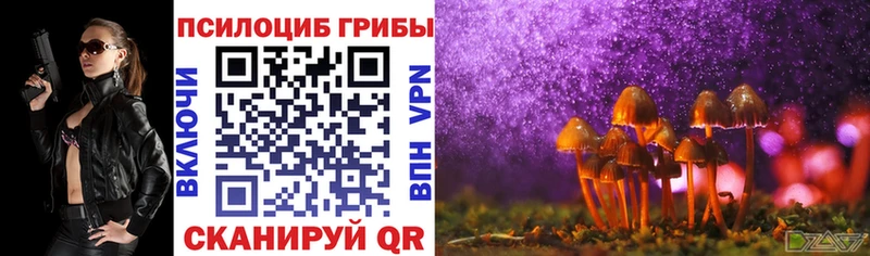 Псилоцибиновые грибы MAGIC MUSHROOMS  цены наркотик  Карталы 